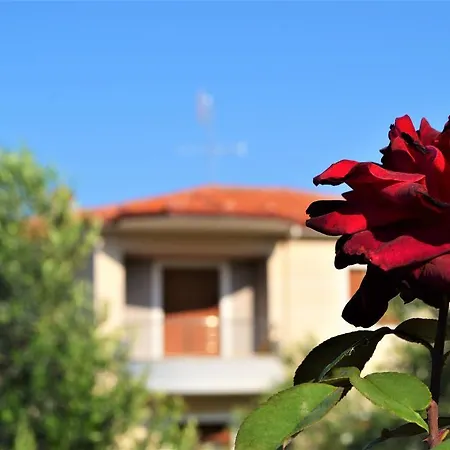 Apartment Alegra's Nikiti (Sithonia)